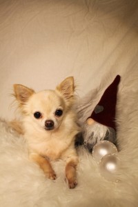 IMG_9290